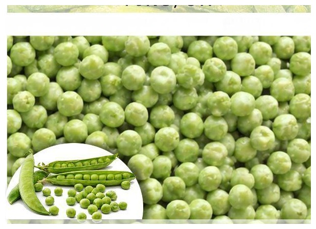IQF Fresh Green Pea